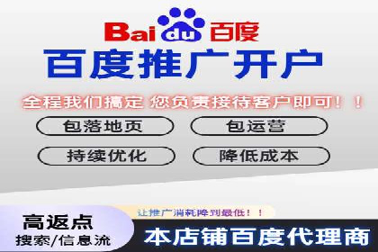 竞价广告赚钱秘籍：百度实战案例